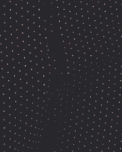 مشکی خال خالی